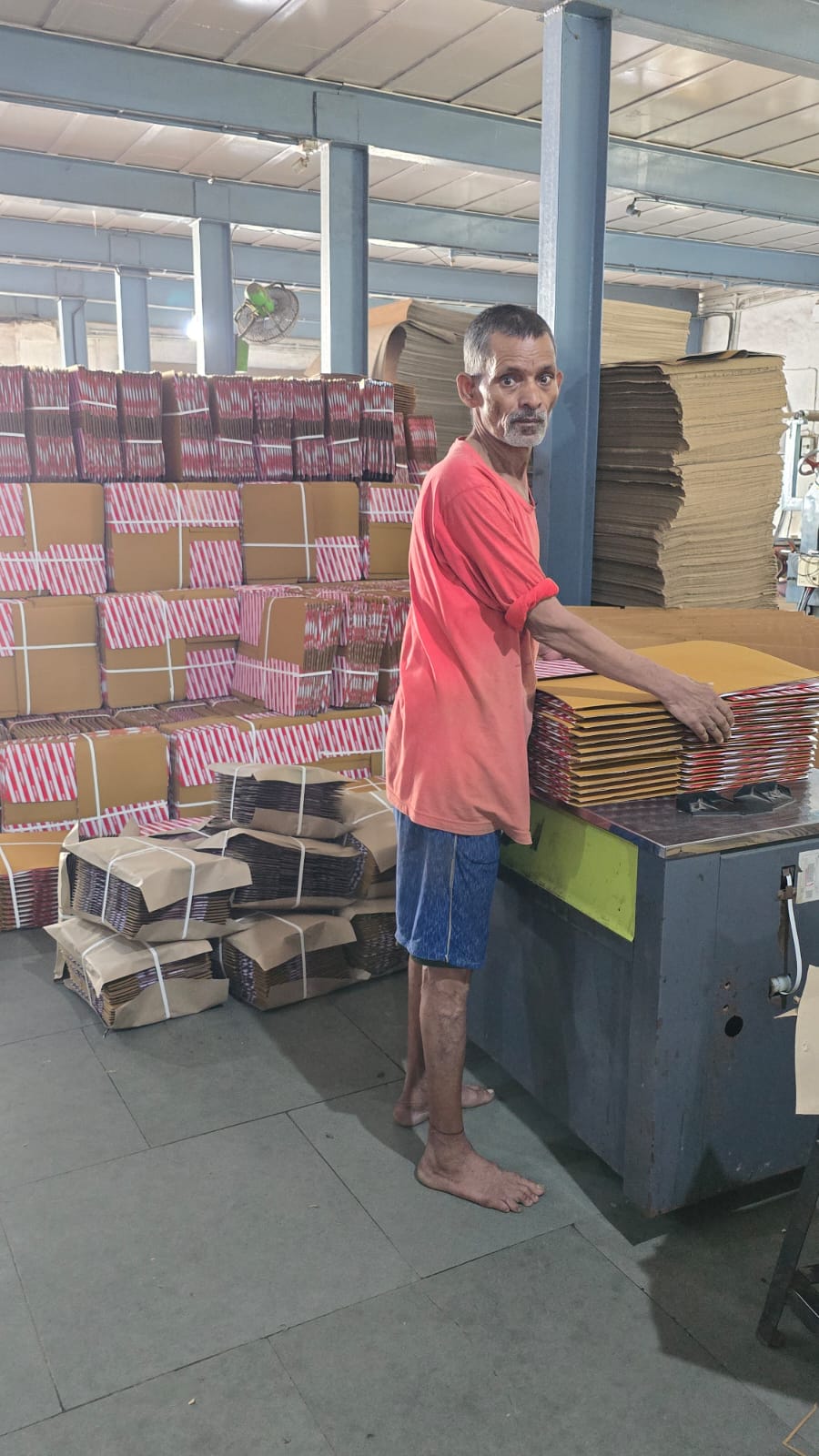 Shop floor at Maa Ashapura Packaging, Vasai, Mumbai